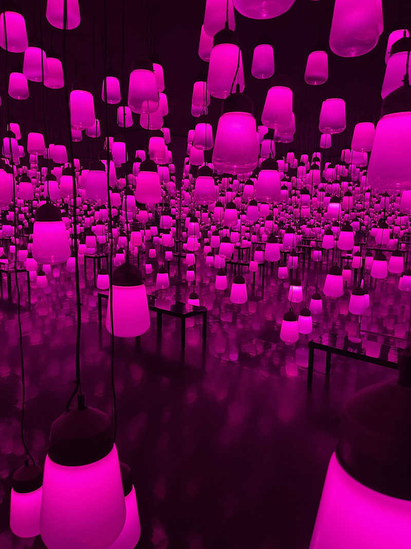 Toshiさんの御船山楽園ホテル  らかんの湯のサ活写真