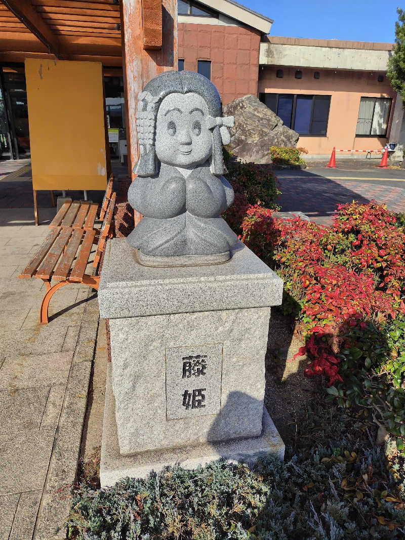 なごみさんのほうじょう温泉ふじ湯の里のサ活写真