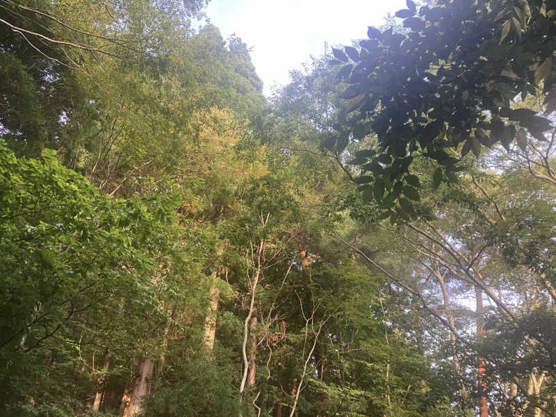 よーこさんのThe TOJIBA 松川館のサ活写真