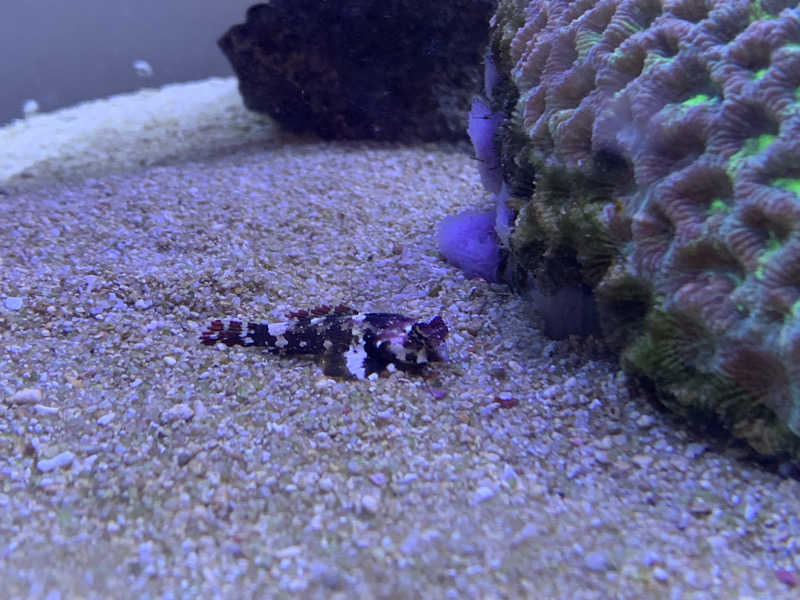 ナイスサウナーさんのクアパレス藤のサ活写真