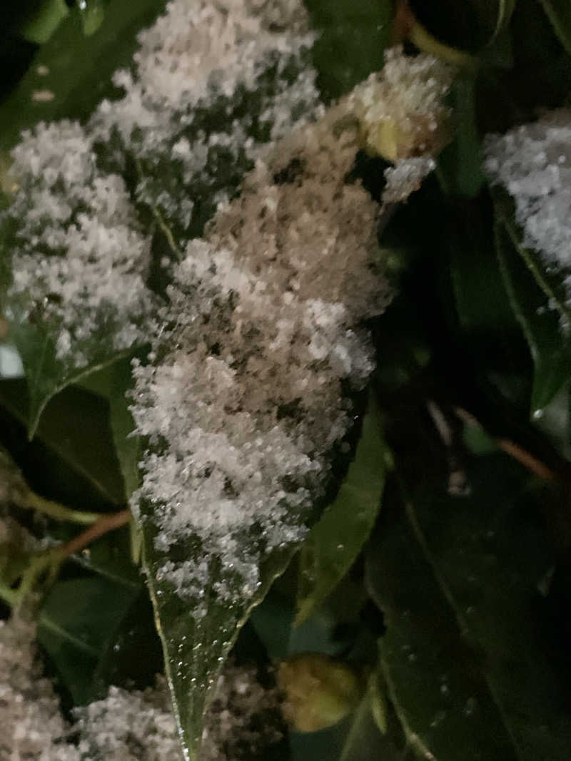 ナイスサウナーさんの練馬湯遊邸 松の湯のサ活写真