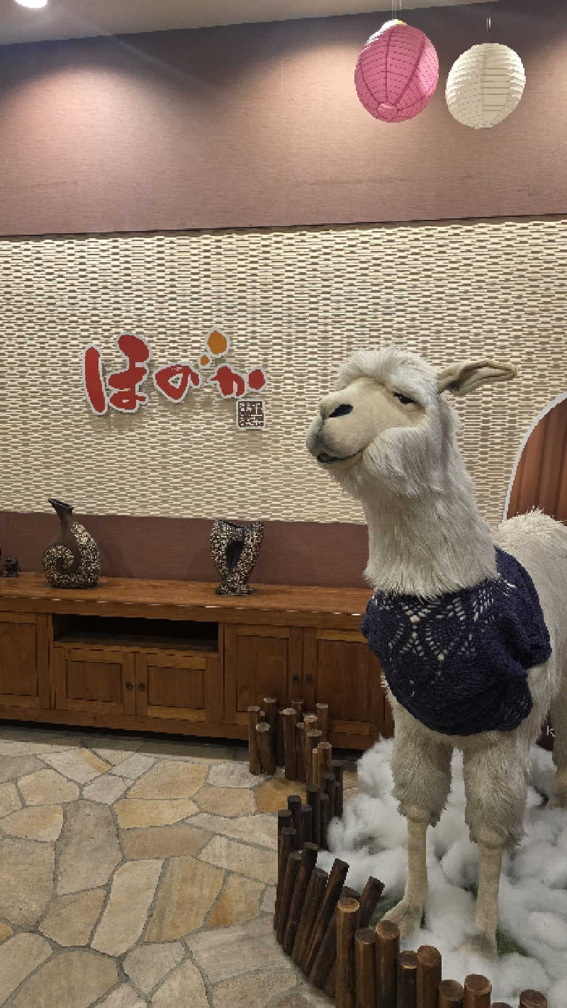 ama美さんの湯の郷ほのか 蘇我店のサ活写真