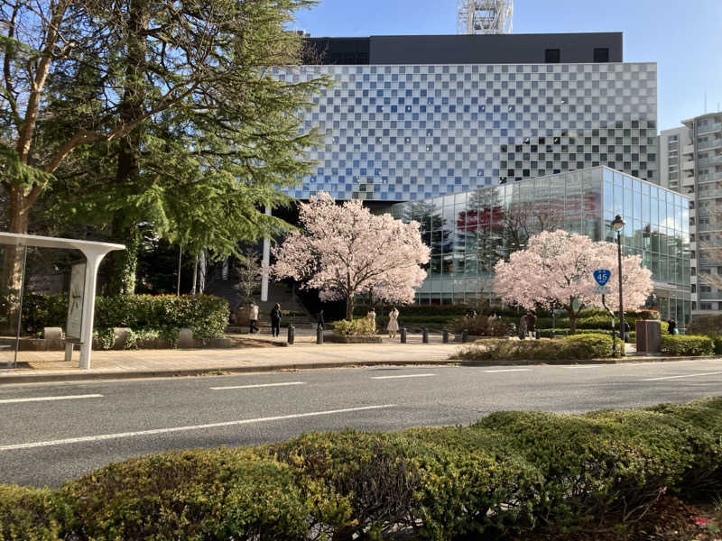 チャンチャンコさんの青葉の湯 ドーミーイン仙台ANNEXのサ活写真