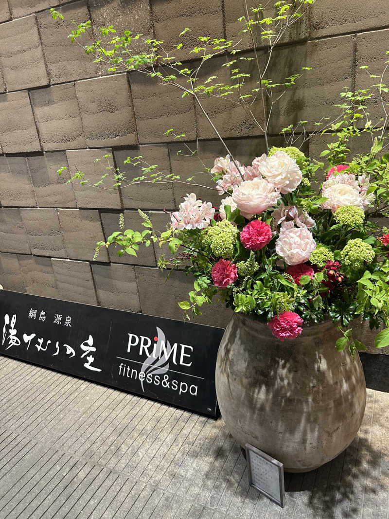 蒸し鳥さんの綱島源泉 湯けむりの庄のサ活写真