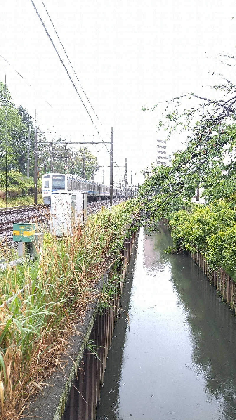 櫻井 学さんの練馬湯遊邸 松の湯のサ活写真