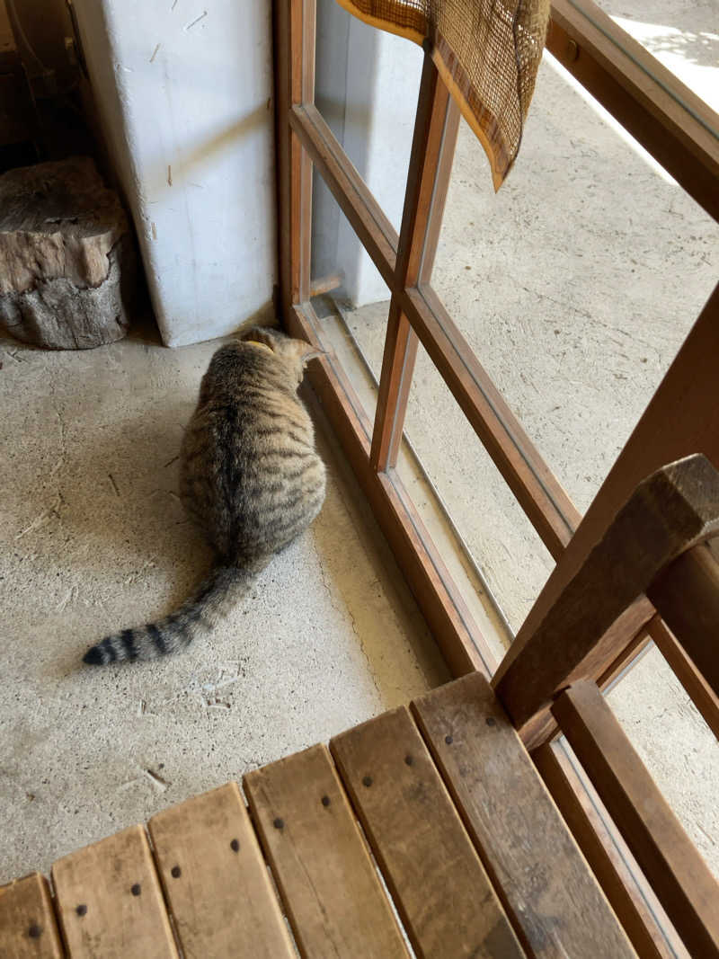 若杉賢一 / Ken Wakasugiさんのラムネ温泉館のサ活写真