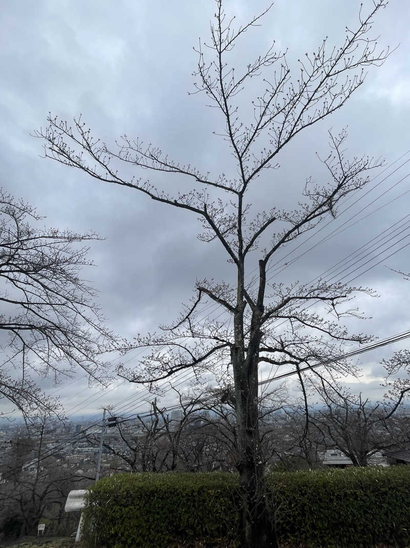 Yuki_SaunaBoy’94さんの観音山サウナ蒸寺のサ活写真
