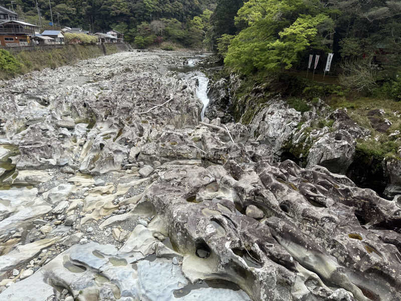 sauna bluesさんの道の駅 椿はなの湯のサ活写真