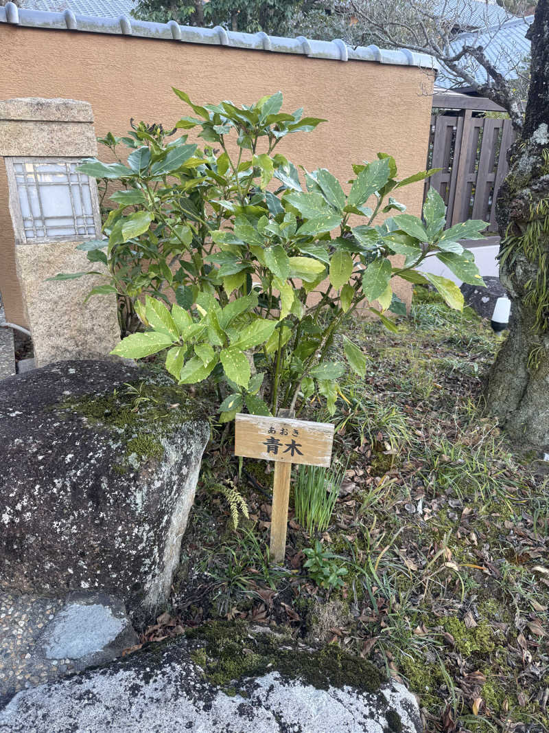 sauna bluesさんの天然温泉 三峰のサ活写真