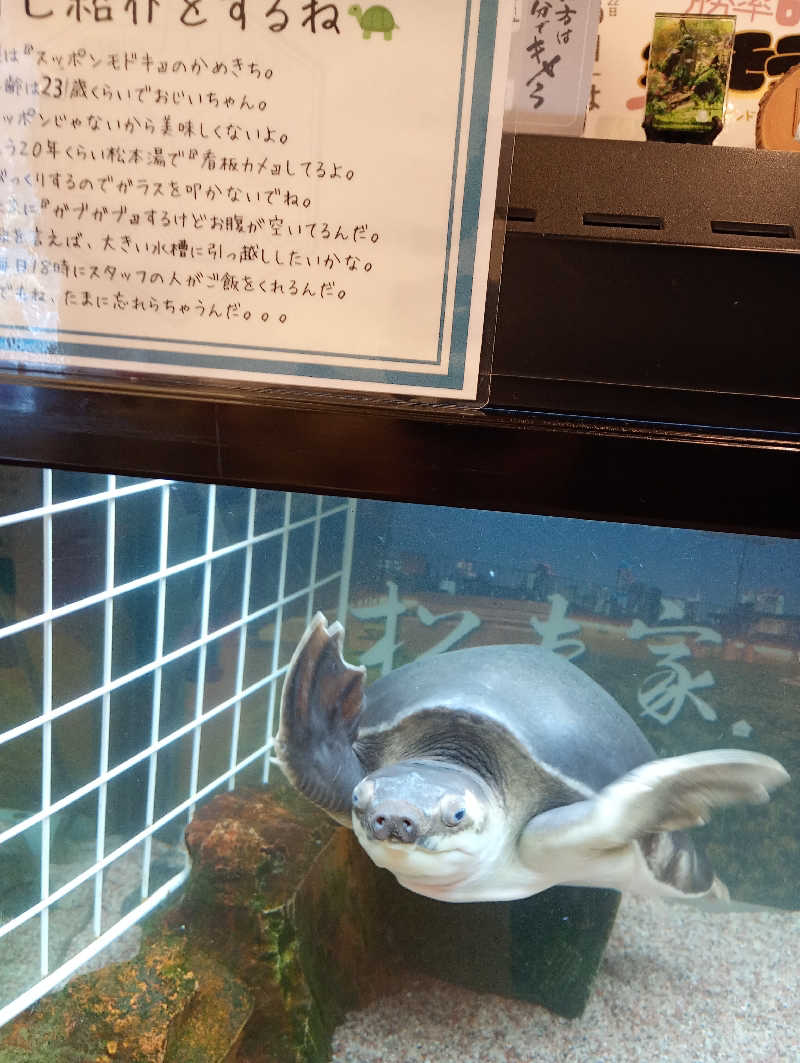 髙橋 英昭さんの松本湯のサ活写真