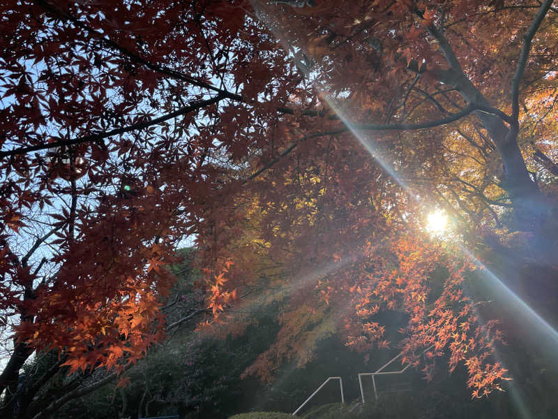 清さんのよみうりランド眺望温泉 花景の湯のサ活写真