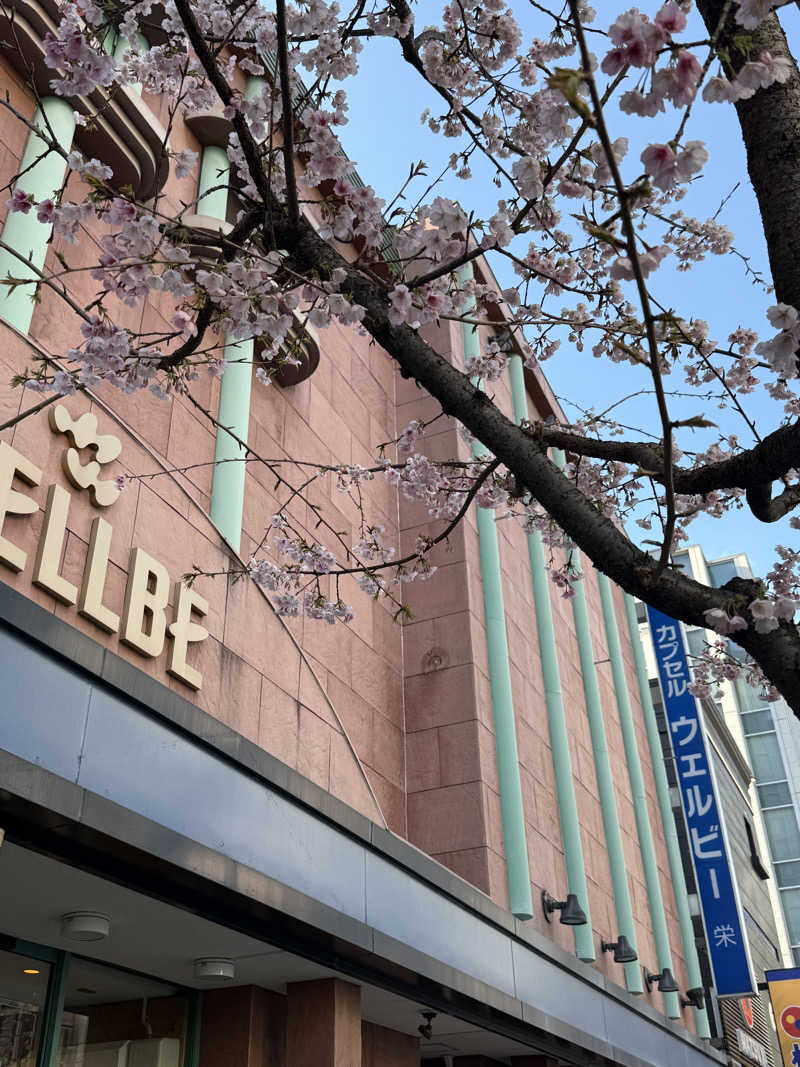 キラキラビューティーさんのウェルビー栄のサ活写真