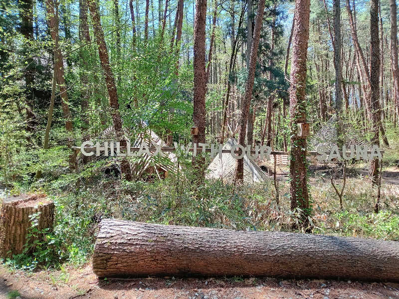 しずみずさんのFOLKWOOD SAUNAのサ活写真