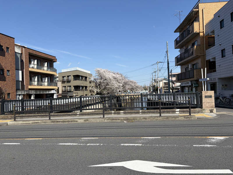 ふっくさんの豊島園 庭の湯のサ活写真