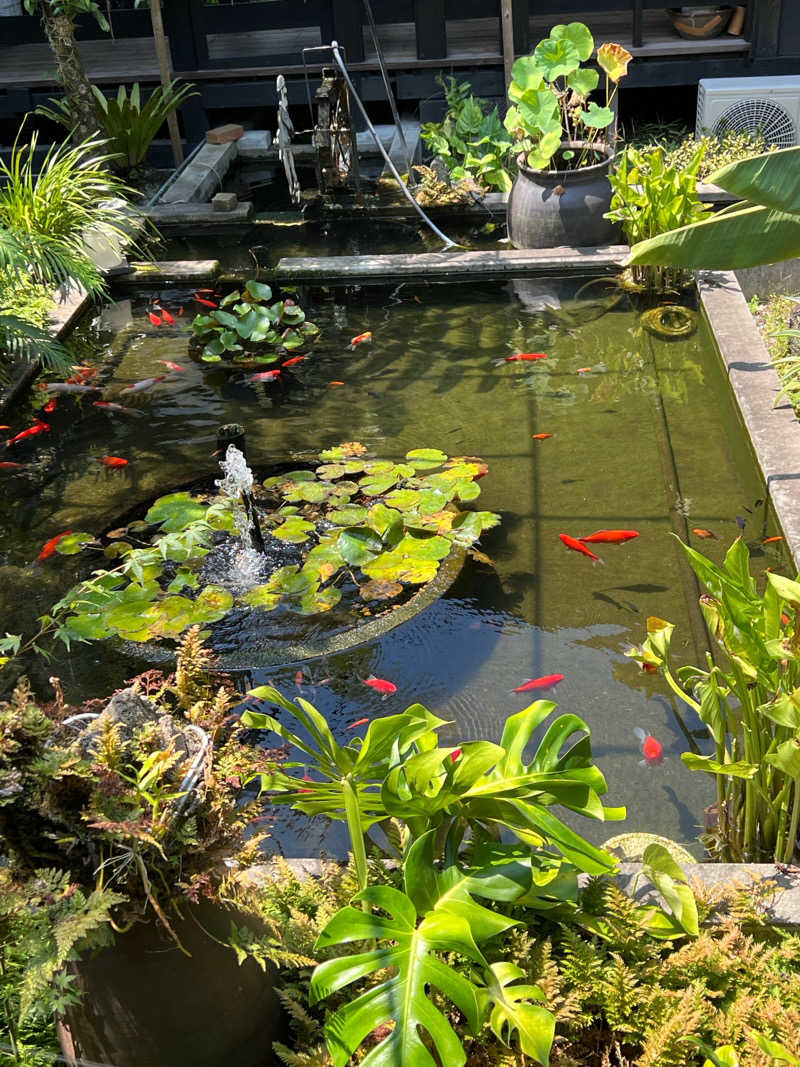 パンダ銭湯さんの薩摩黒温泉 山華のサ活写真