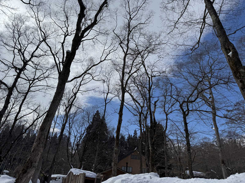 e-tanさんのThe Saunaのサ活写真