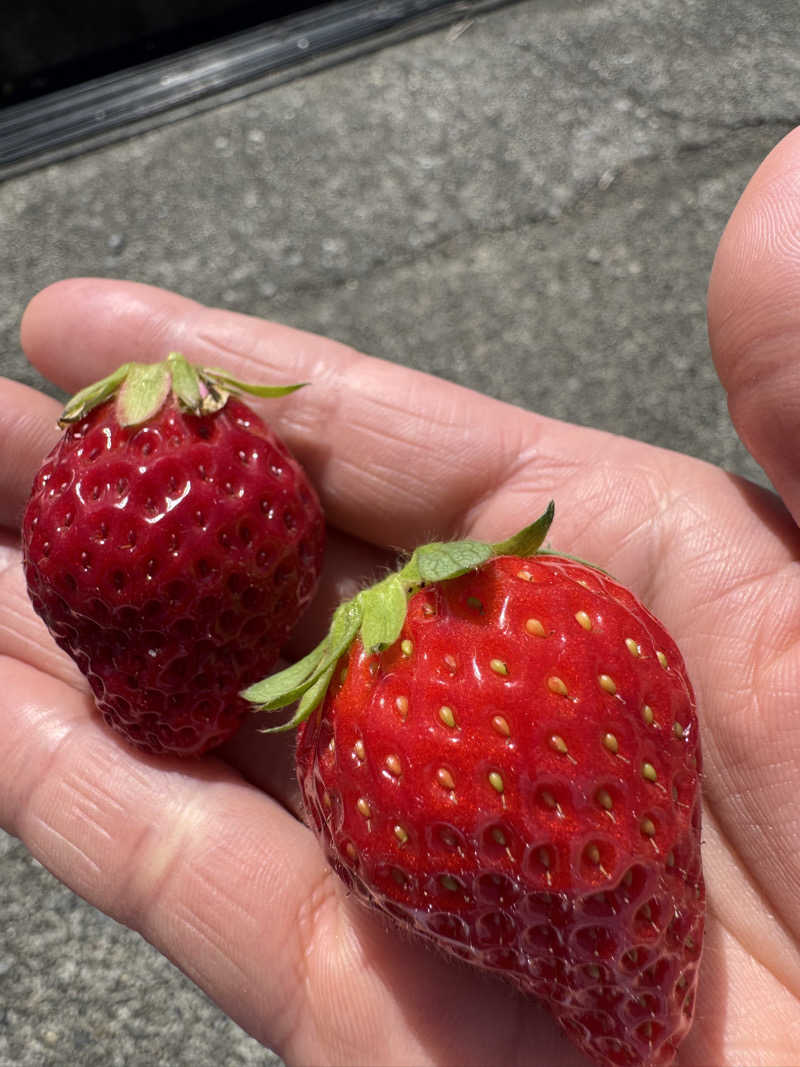 e-tanさんの富士山天然水SPA サウナ鷹の湯のサ活写真