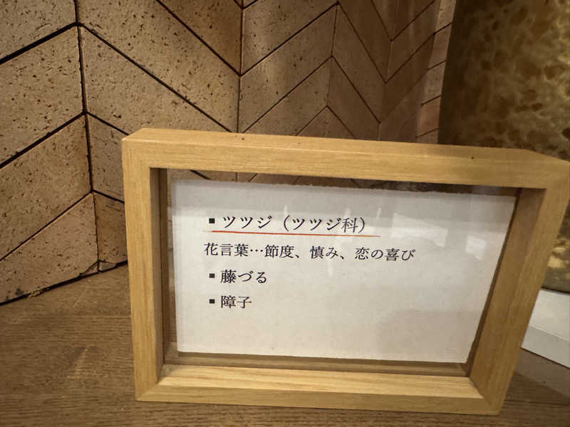 e-tanさんの朝日湯源泉ゆいるのサ活写真