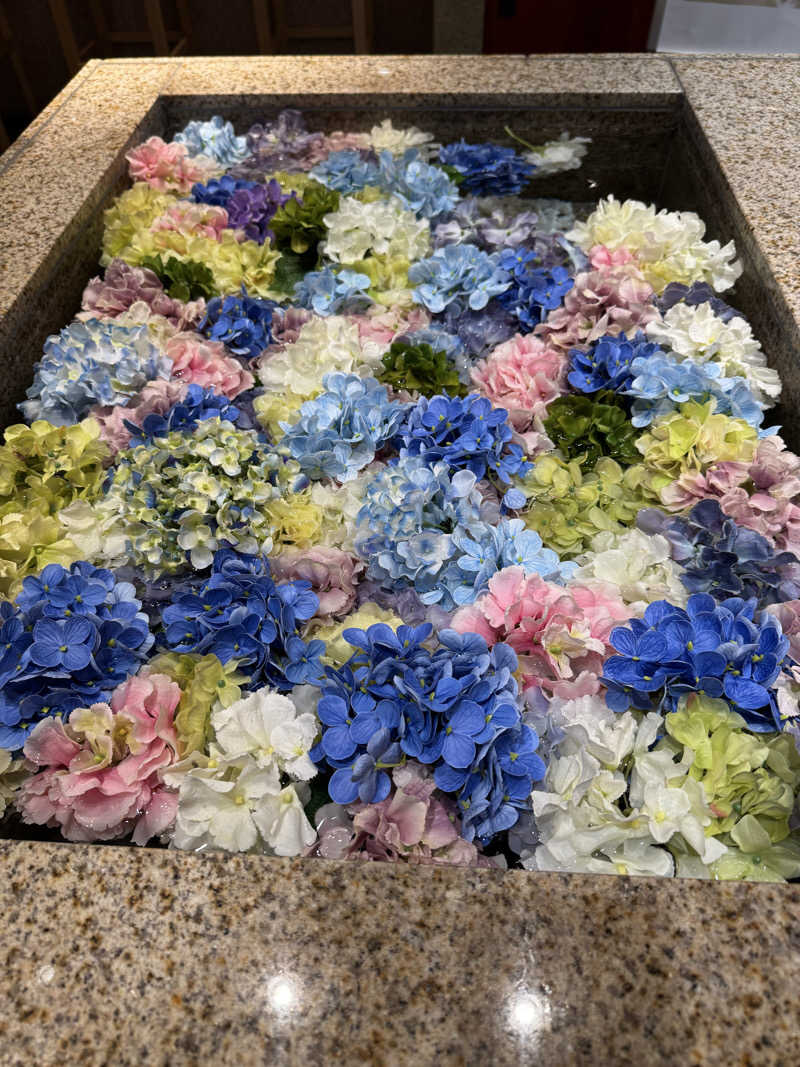 e-tanさんの綱島源泉 湯けむりの庄のサ活写真