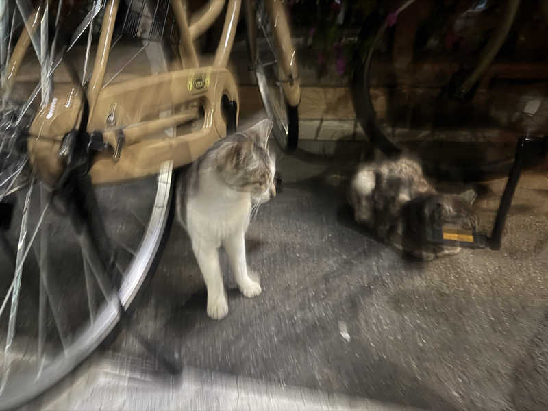 e-tanさんの小松湯のサ活写真