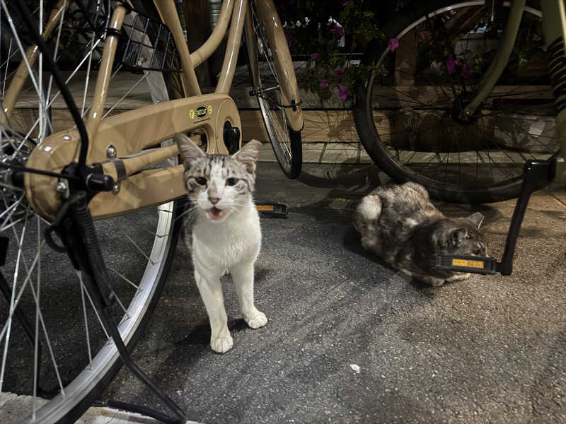 e-tanさんの小松湯のサ活写真