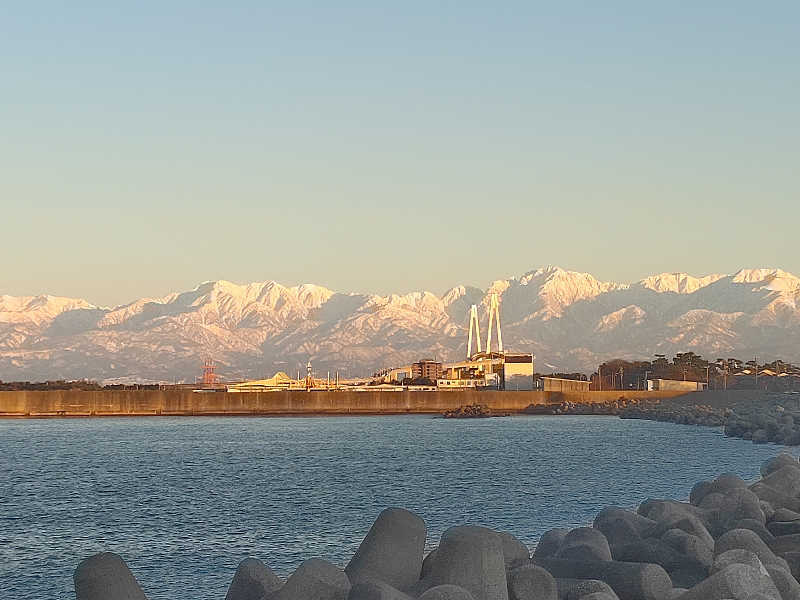 ととのいワンコさんの天然温泉 海王のサ活写真