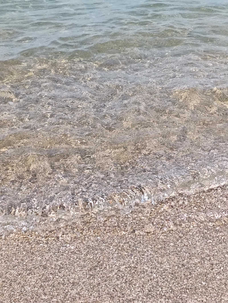 ととのいワンコさんの氷見・松田江温泉 民宿あおまさのサ活写真
