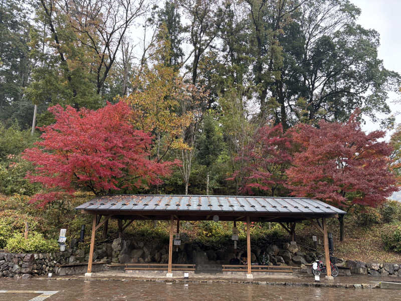 とんかつたろうさんの秋川渓谷 瀬音の湯のサ活写真