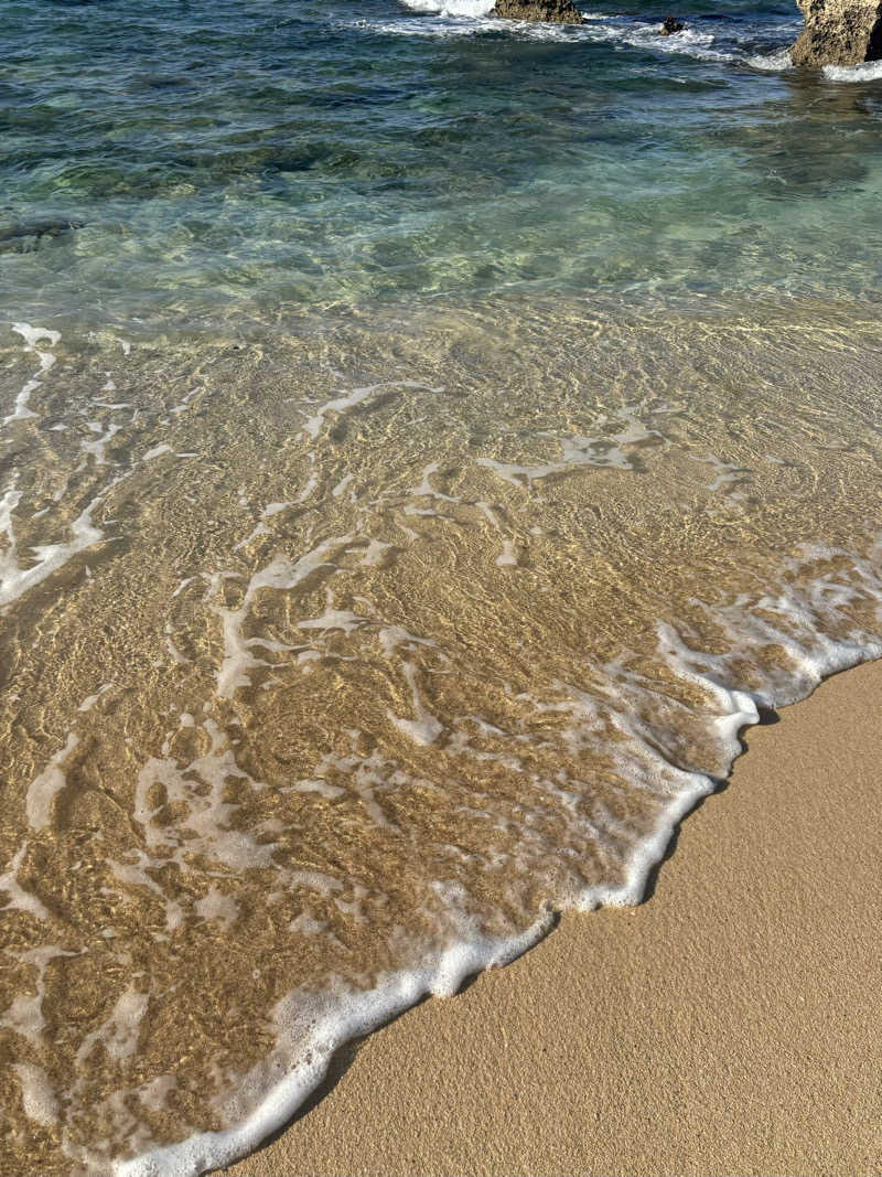 とんかつたろうさんのHotel SANSUI Naha 琉球温泉 波之上の湯のサ活写真