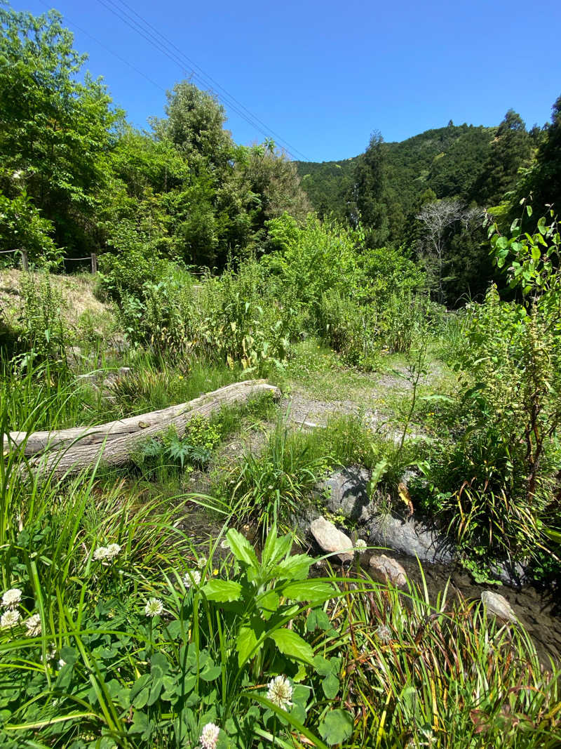 ひげダルマ夫人さんのさんかく山 CAMP FIELDのサ活写真