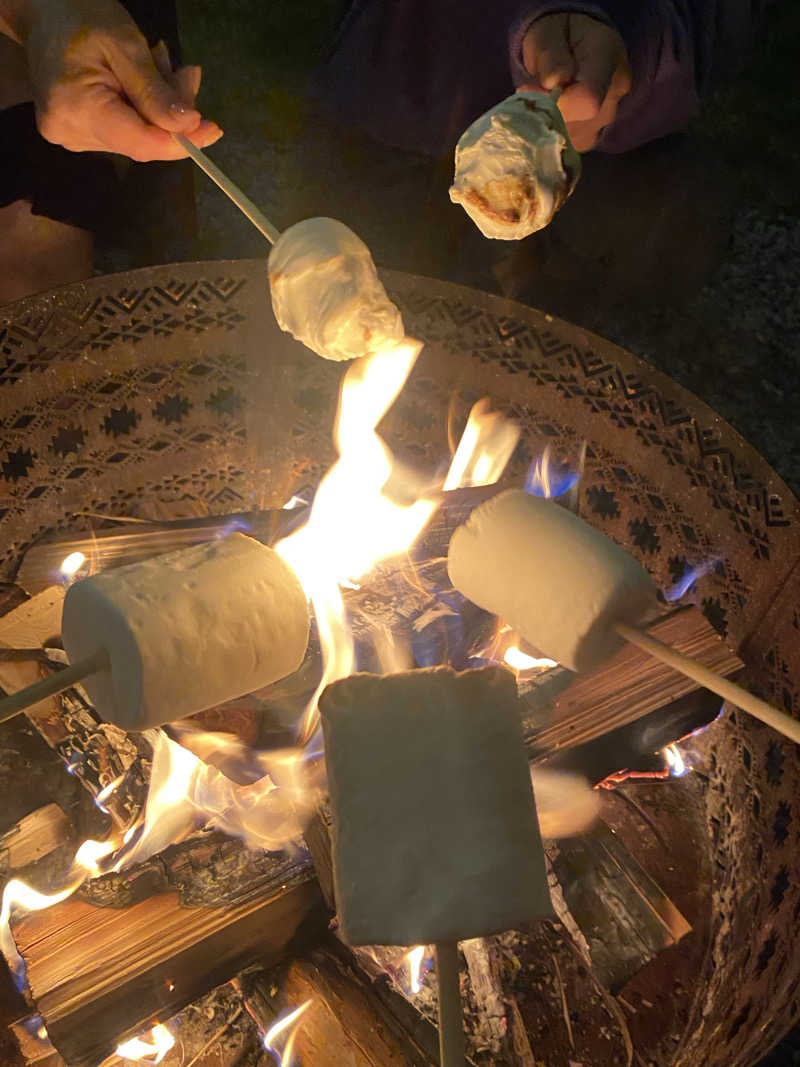 ひげダルマ夫人さんの貸別荘 IDEAL SAUNAのサ活写真