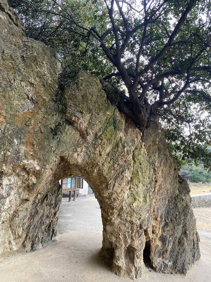 ひげダルマ夫人さんの江戸風呂のサ活写真