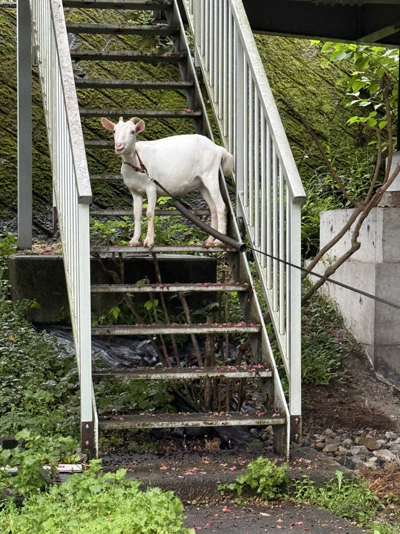 あるちゃんさんのさぷらすのサ活写真