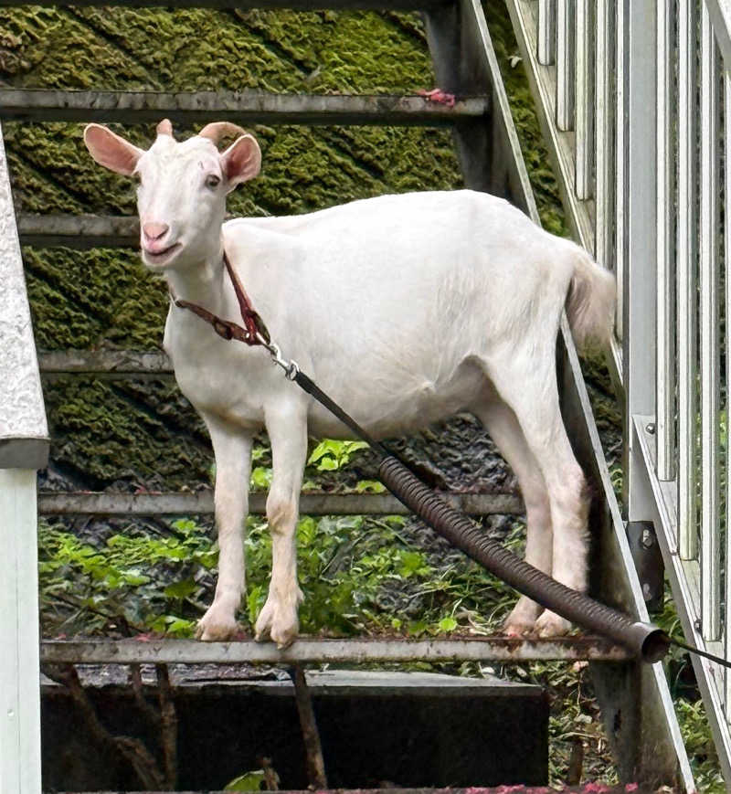 あるちゃんさんのさぷらすのサ活写真