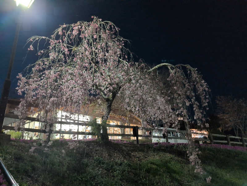 深谷兄さんの天岩戸の湯のサ活写真