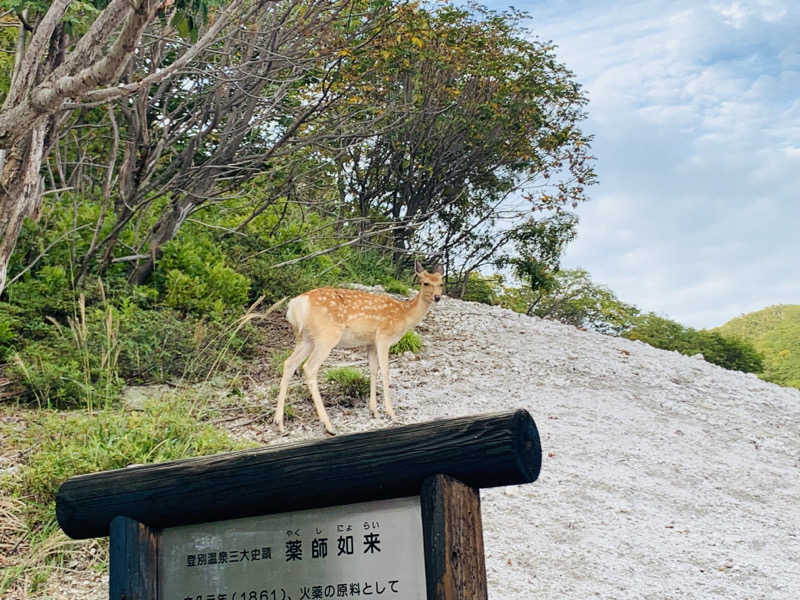 まゆもすさんの第一滝本館のサ活写真