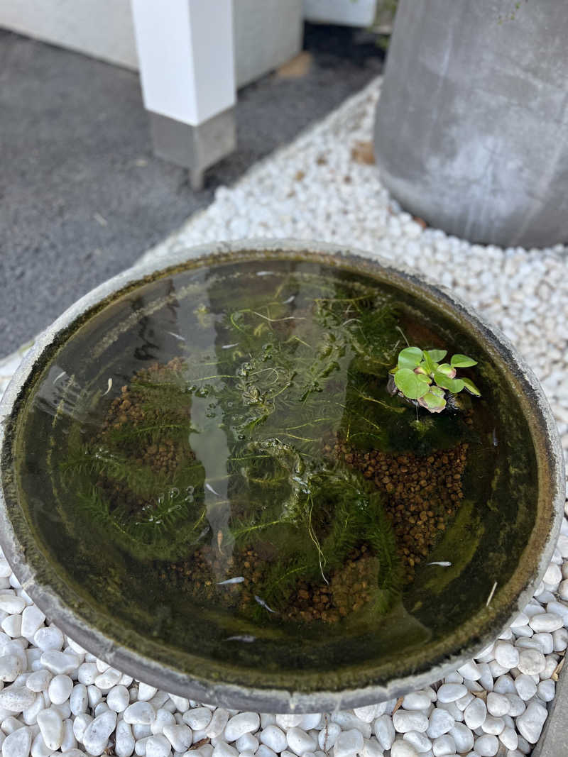 naoさんのクアパレス藤のサ活写真