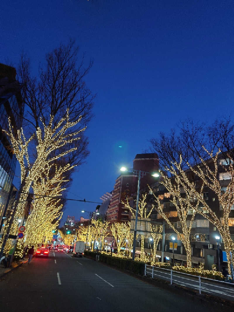 えんさんさんのメガロス小岩のサ活写真