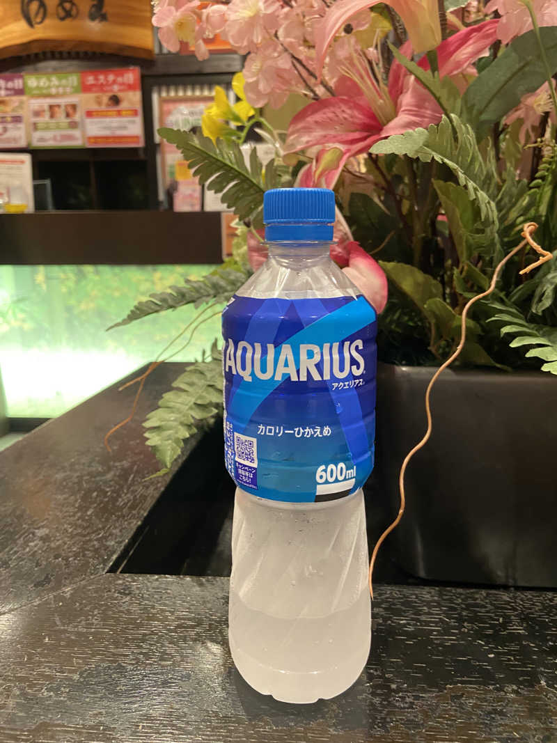 れこりんさんの箕面湯元 水春のサ活写真