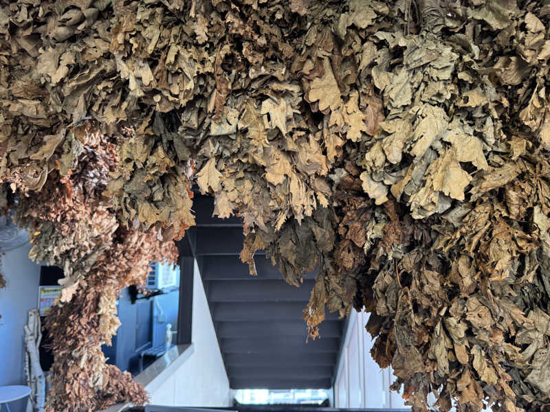 岡本満太郎さんの天空のアジト マルシンスパのサ活写真