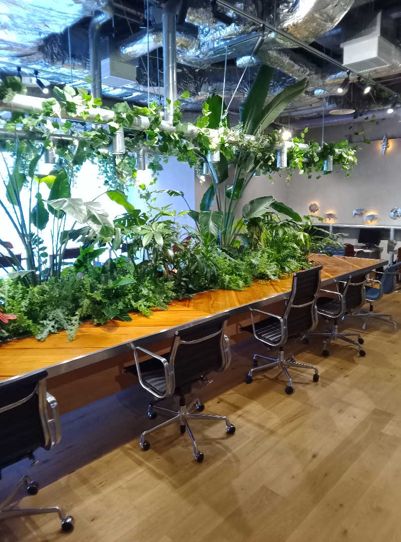 kafujiさんのサウナ&カプセルホテル 北欧のサ活写真