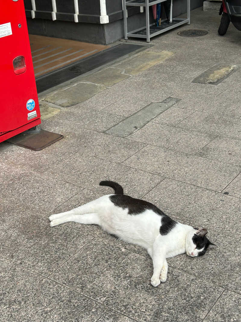 熊原さんの日奈久温泉センター ばんぺい湯&本湯のサ活写真