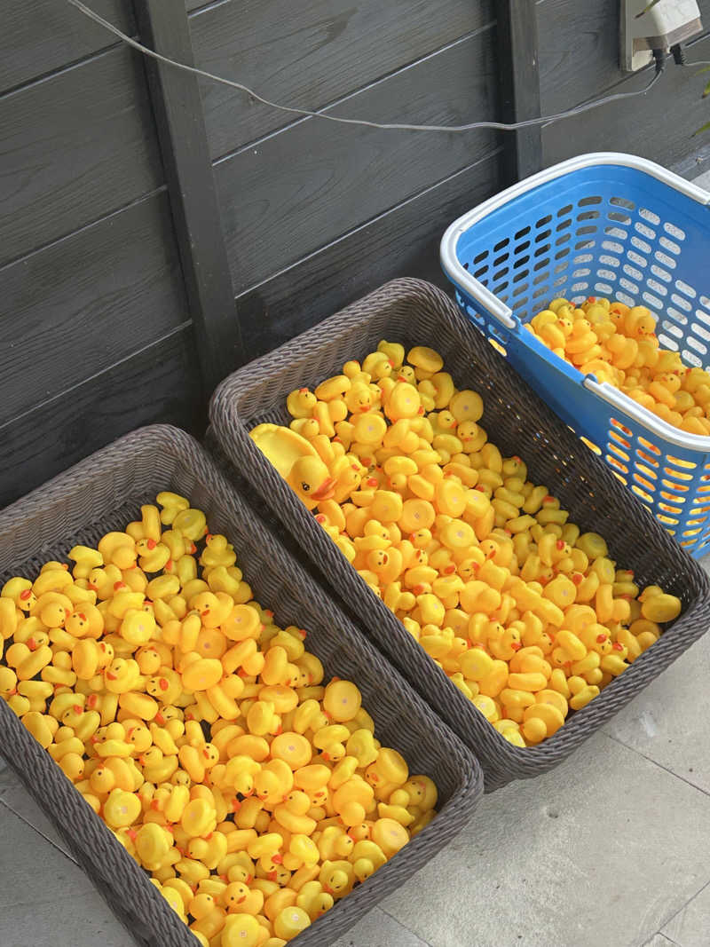 熊原さんの隠れ家温泉 古保山リゾートのサ活写真