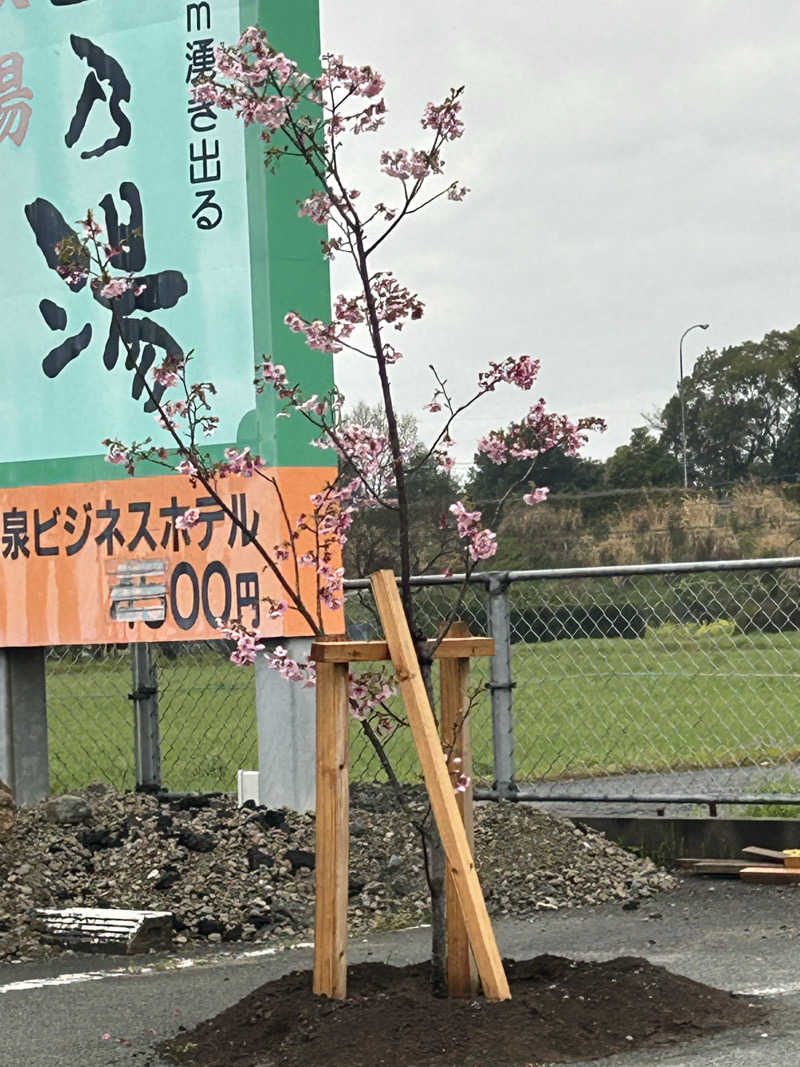 熊原さんの八代温泉 さくらの湯(旧つる乃湯 八代店)のサ活写真