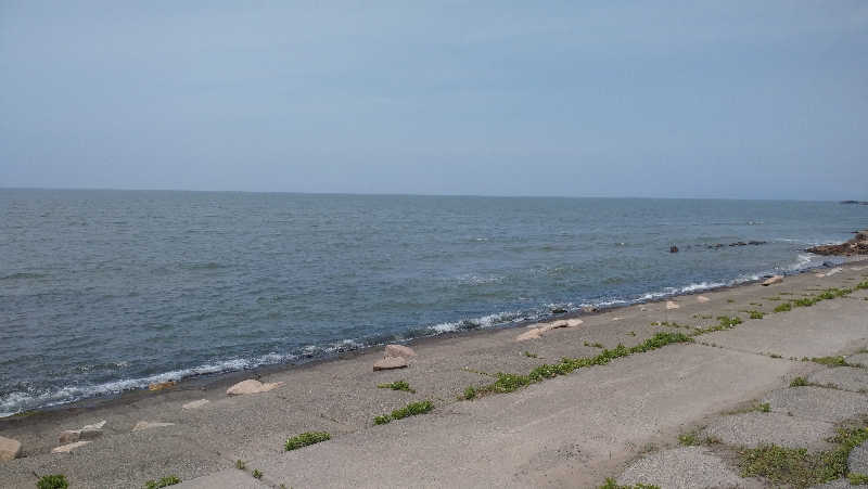 タカノートさんの深層湯温泉 紫雲の郷のサ活写真