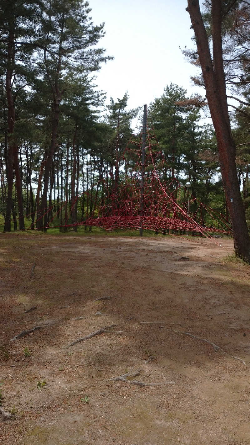 タカノートさんの深層湯温泉 紫雲の郷のサ活写真