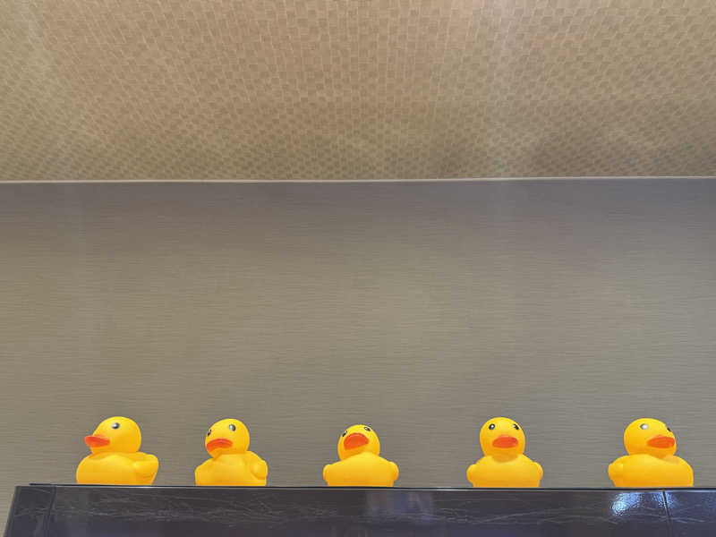 mabuさんの湯ごころ ゆるりのサ活写真