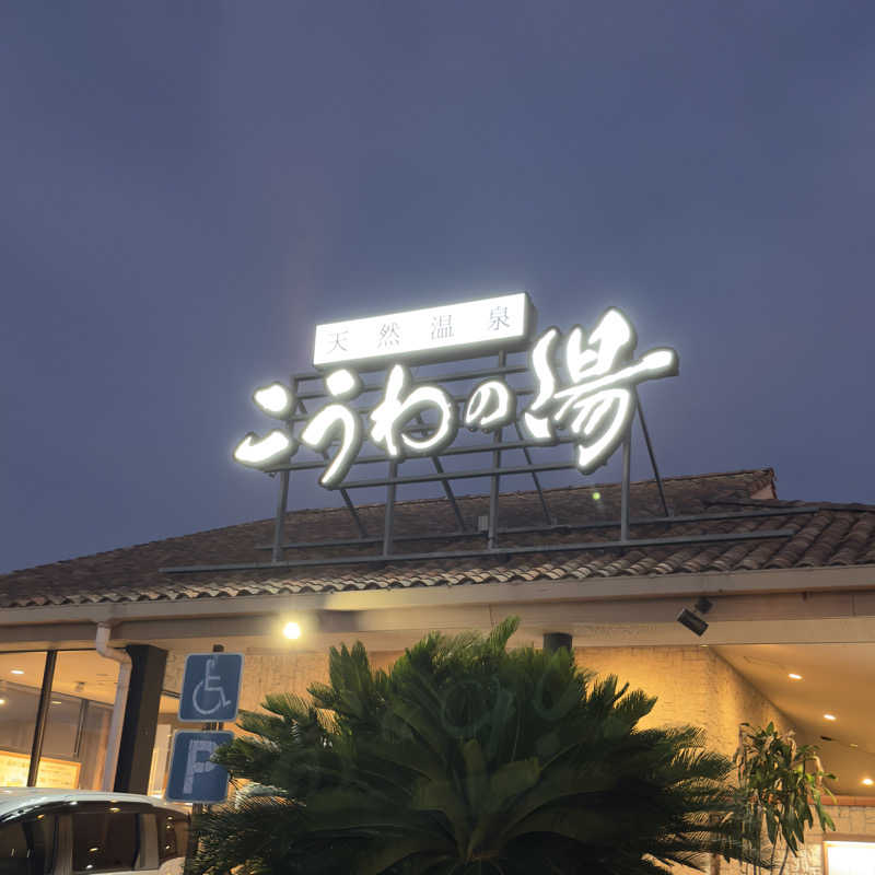 meme87さんの天然温泉 こうわの湯のサ活写真