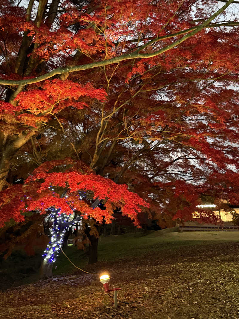 裕十郎さんのSauna & Spa Green サウナ&スパ グリーン～愛宕山温泉～のサ活写真