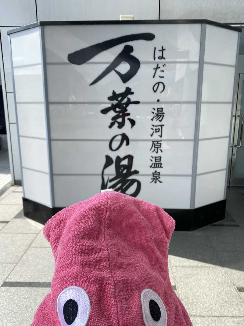 サウナ道さんのはだの・湯河原温泉 万葉の湯のサ活写真